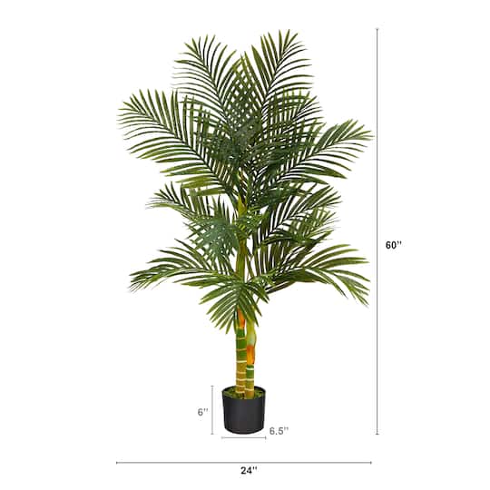 5ft. Potted Golden Cane Palm Tree